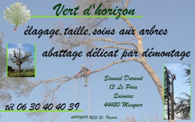 anniversaire Vert d’Horizon