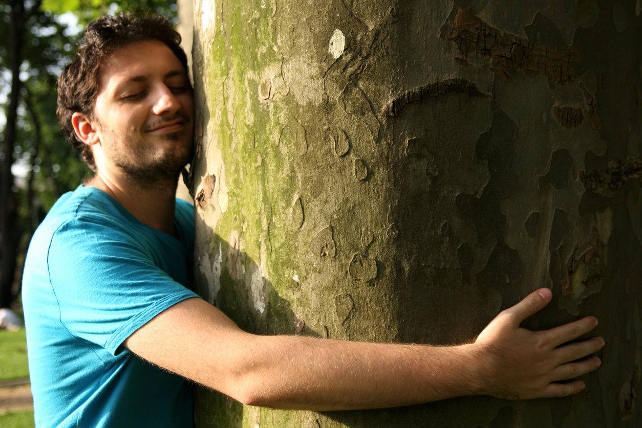 sylvothérapie, elagage abattage vert d’horizon guerande la baule la turballe mesquer piriac saint marc 2