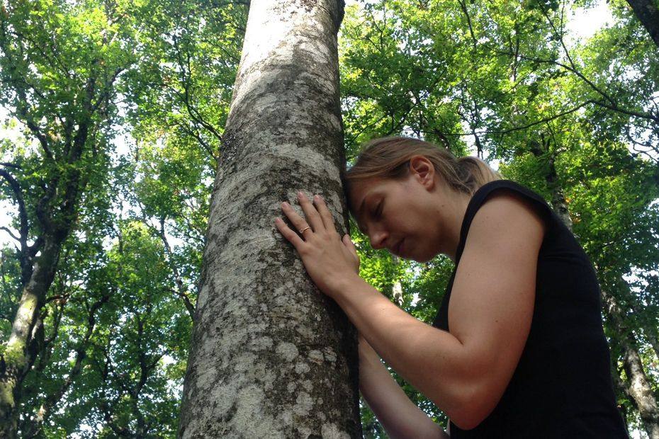 sylvothérapie, elagage abattage vert d’horizon guerande la baule la turballe mesquer piriac saint marc 3