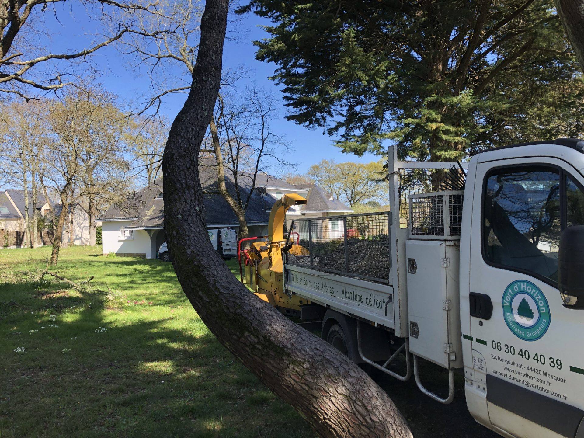 spirale arbre abattage élagage guerande mesquer piriac la turballe la baule pénestin le croisic le pouliguen pornichet saint nazaire 6
