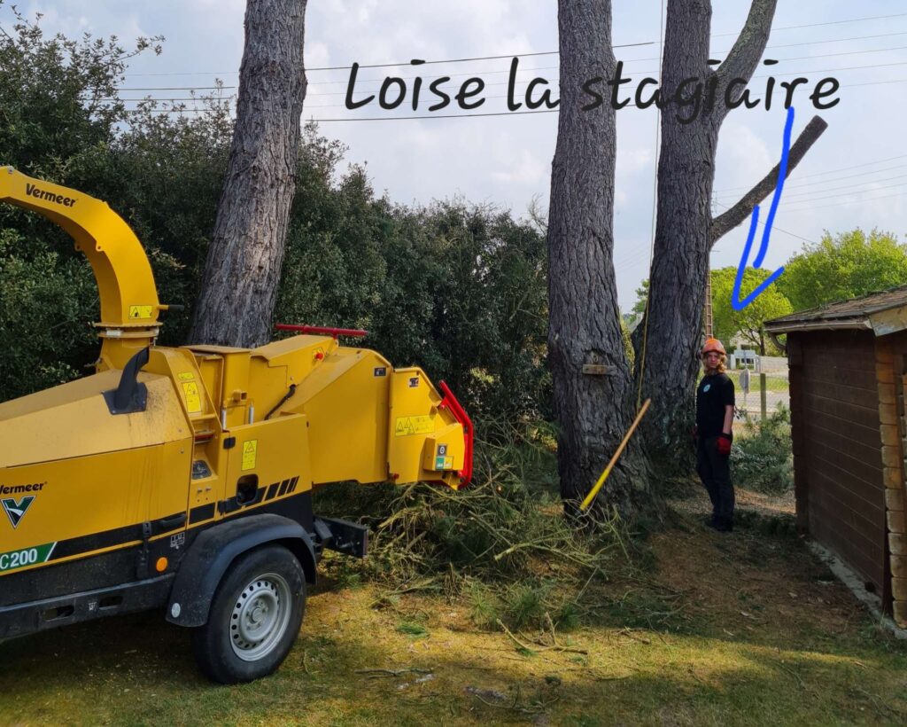 elagage-abattage-piriac-mesquer-guerande-la-turballe-piriac-1