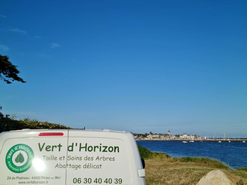 elagage-abattage-arboriste-grimpeur-guerande-piriac-la-turballe-mesquer-vert-d-horizon-1