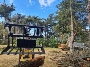 elagage-abattage-arboriste-grimpeur-guerande-piriac-la-turballe-mesquer-vert-d-horizon-2