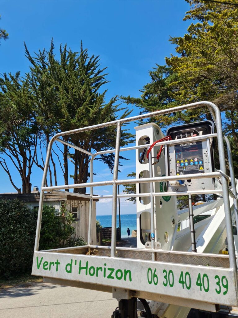 elagage abattage taille arbre arboriste grimpeur guerande piriac la turballe mesquer la baule pornichet vert d horizon 4