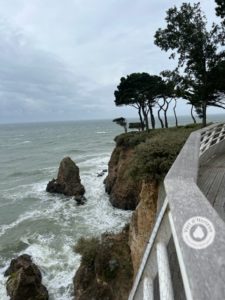 elagage abattage grmpeur arbre guerande la baule la turballe le pouliguen piriac mesquer 2