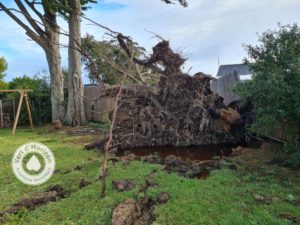 tempete elagage abattage guerande la baule piriac mes suer la turballe le croisic 4