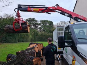 camion grue elagage abattage arboriste guerande piriac la baule mesquer la turballe 2