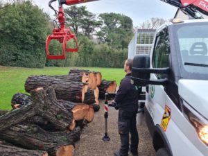 camion grue elagage abattage arboriste guerande piriac la baule mesquer la turballe 3