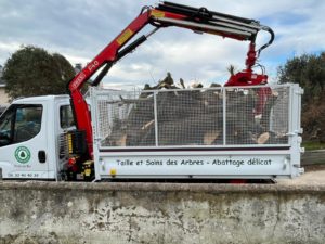 camion grue elagage abattage arboriste guerande piriac la baule mesquer la turballe 6