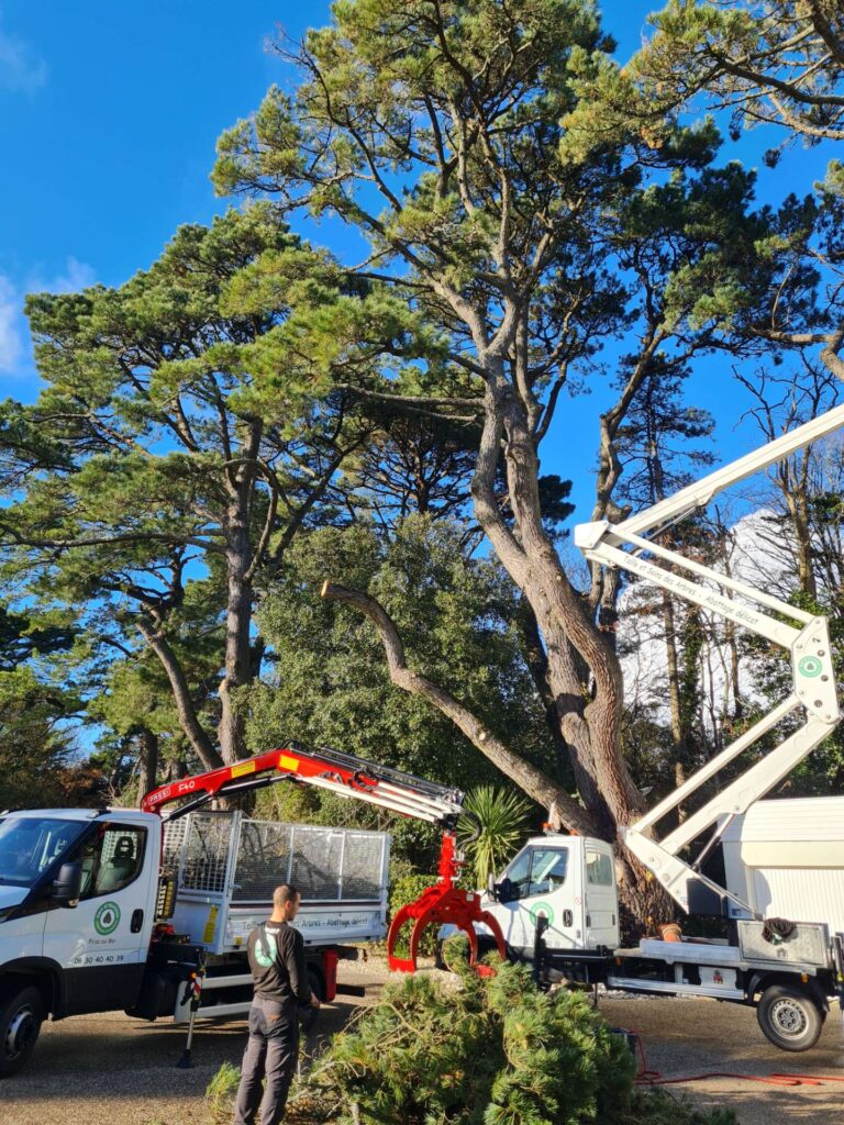 camion grue elagage abattage arboriste guerande piriac la baule mesquer la turballe 7