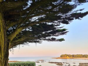 météo arbre elagage abattage guerande piriac la baule pornichet le croisic mesquer la turballe 1