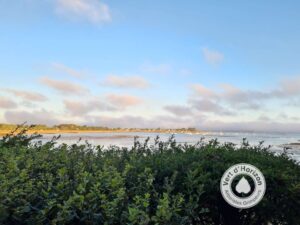 météo arbre elagage abattage guerande piriac la baule pornichet le croisic mesquer la turballe 3