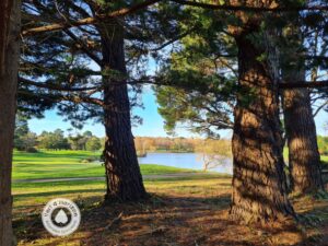 dormance elagage abattage taille des arbres piriac mesquer la turballe le croisic la baule saint nazaire pornichet 4