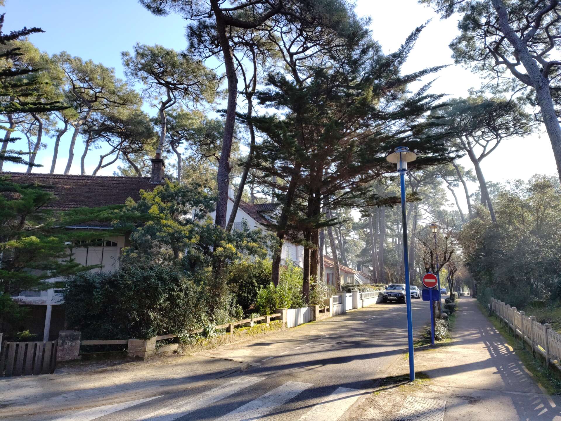 bois de quimiac avant 4