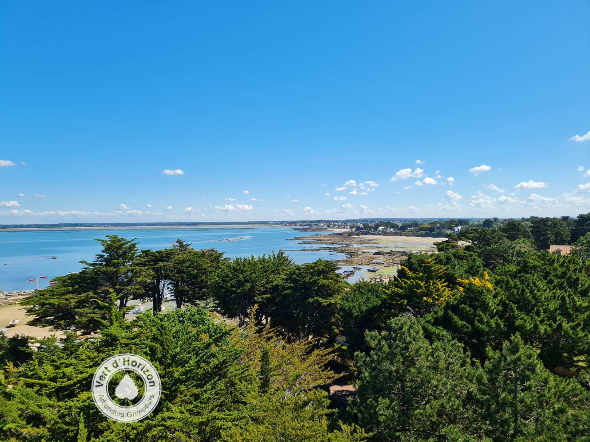 elagae abattage taille arbres bois quimiac mesquer piriac guerande la turballe la baule pornichet 2