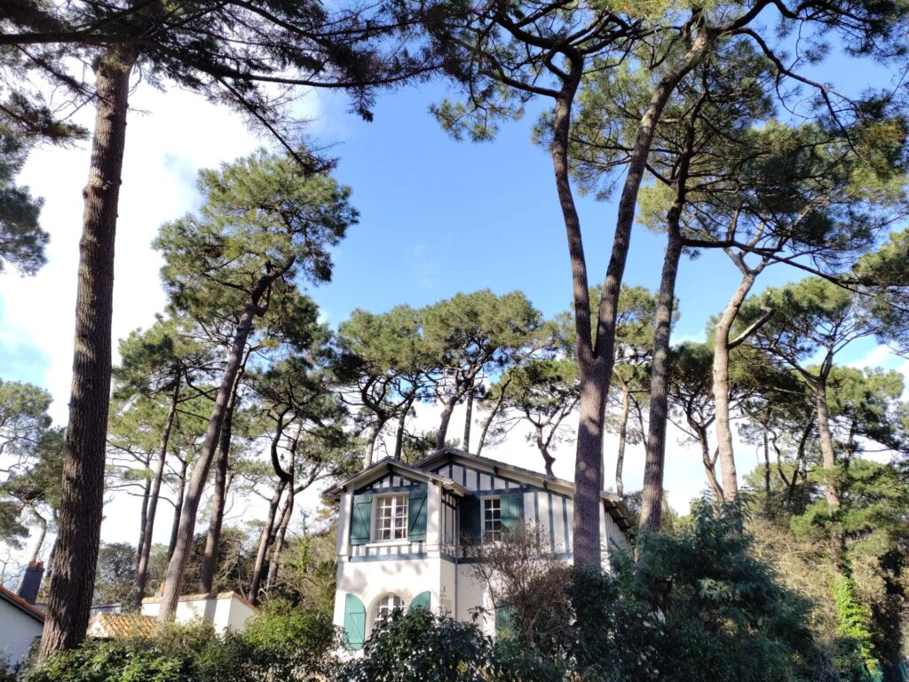 elagae abattage taille arbres bois quimiac mesquer piriac guerande la turballe la baule pornichet 6