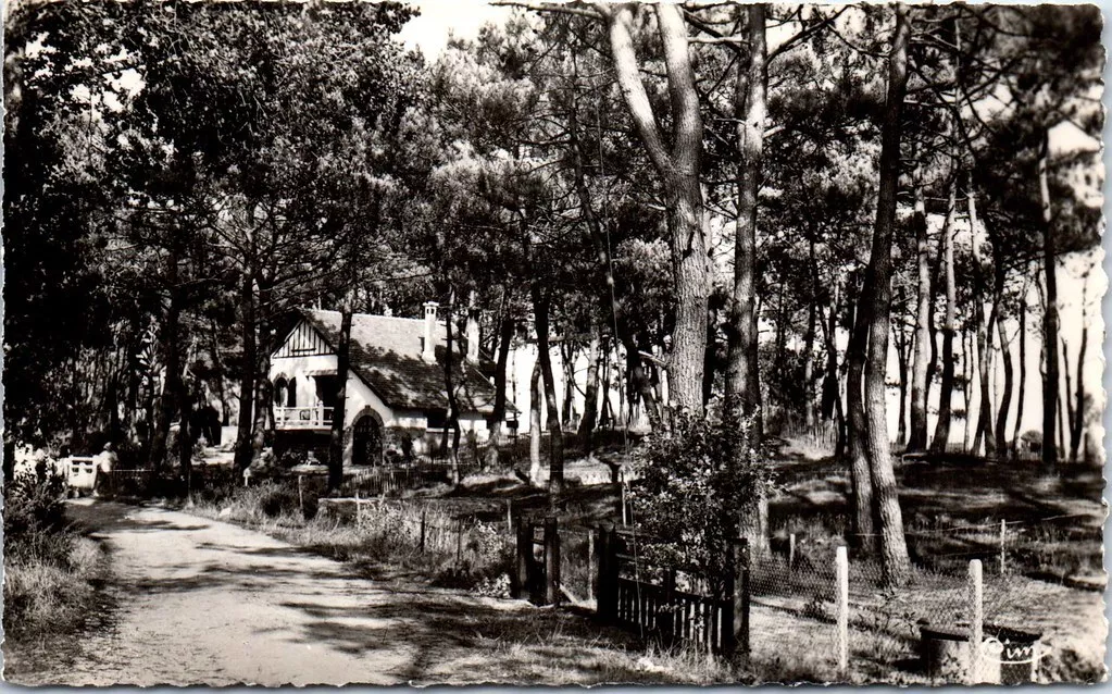 elagae abattage taille arbres bois quimiac mesquer piriac guerande la turballe la baule pornichet 7