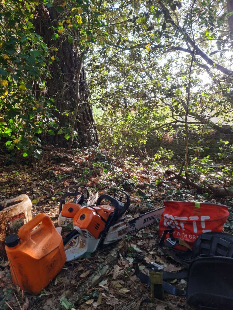 elagage abattage taille arbre le pouliguen guerande mesquer piriac saint molf la turballe la baule pornichet saint nazaire vert d horizon 2