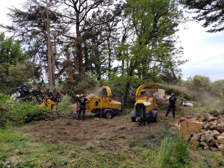elagage abattage piriac guerande vert d horizon 5