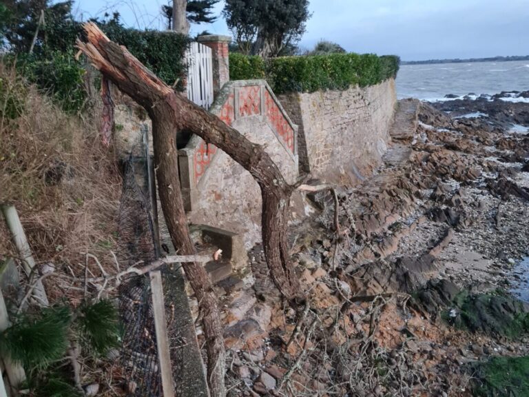 elagage abattage taille arbre piriac guerande la baule pornichet le croisic le pouliguen vert dhorizon 4