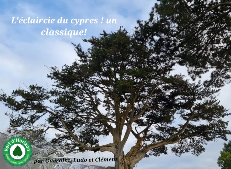 Que faire face au chancre ?