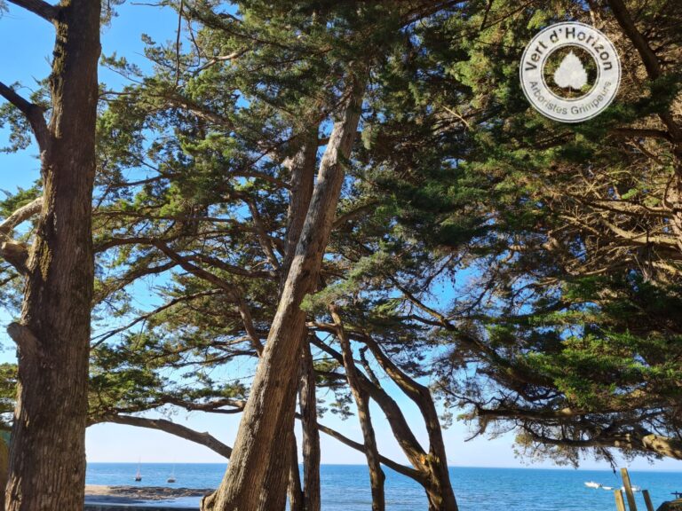 Un peu d’optimisme, quand même