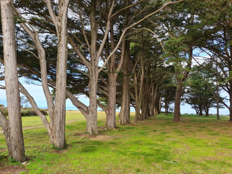 Un mythe tenace mais utile