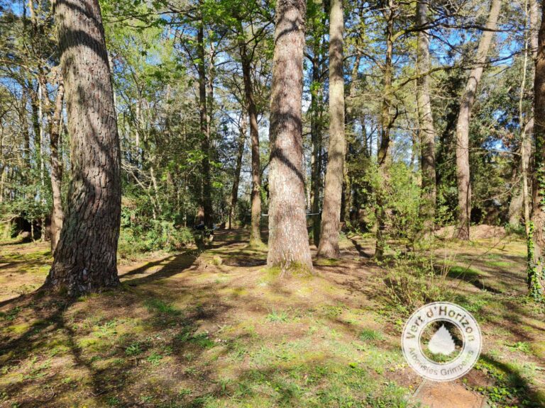 L’acidification réelle : l’affaire de la pluie et des dépôts atmosphériques