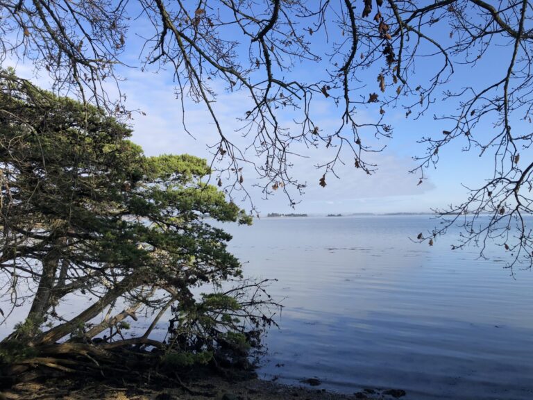 Le gardien silencieux