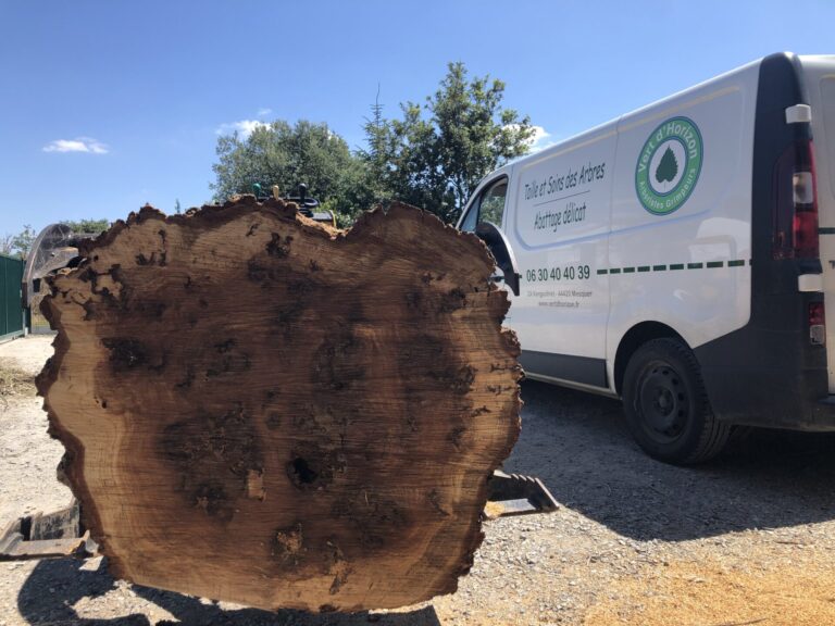 Les cicatrices du temps