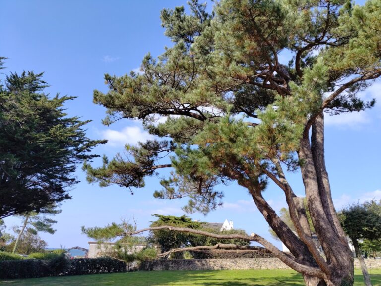 Conclusion : halte aux faux remèdes