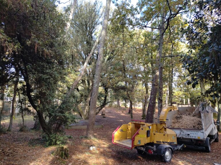 élagage abattage mesquer guerande 2