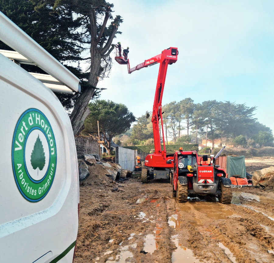 Intervention d’arboriste grimpeur après tempête en Presqu’île Guérandaise
