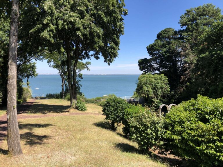 taille drastique arbre elagage abattage guerande la baule mesquer piriac 3