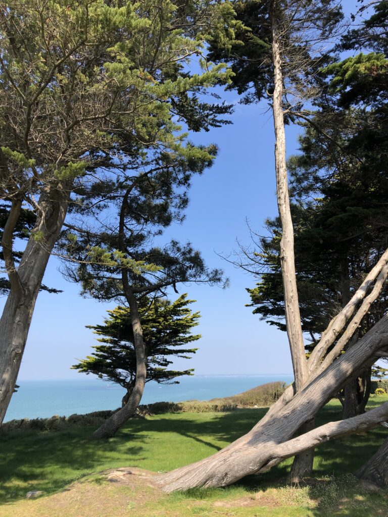 l&rsquo;arbre et la mer 3