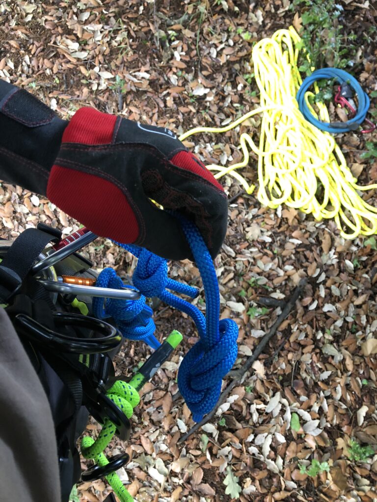 sécheresse elagage abattage guérandela baule mesquer Piriac la turballe 1