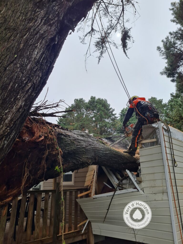 arbre dangereux elagage abattage guerande piriac la baule 8